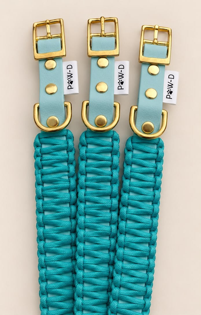 Obojok Blue